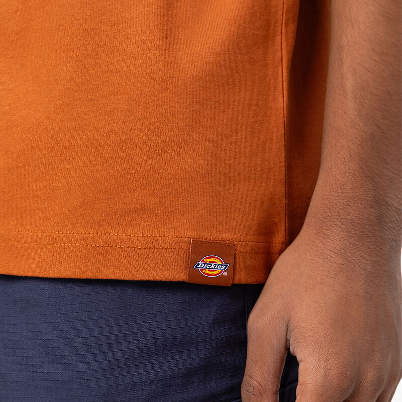 Dickies Marbury Short Sleeve T-Shirt Gingerbread Brown ID-bVW2ZN4P