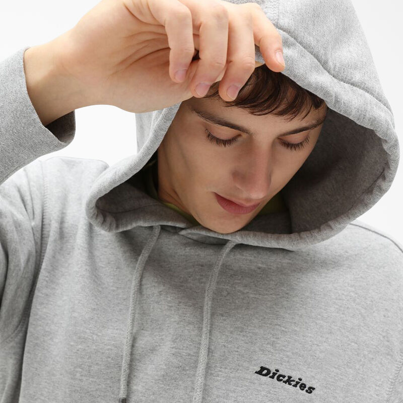 Dickies Uniontown Hoodie Regular ID-c8tffrJe