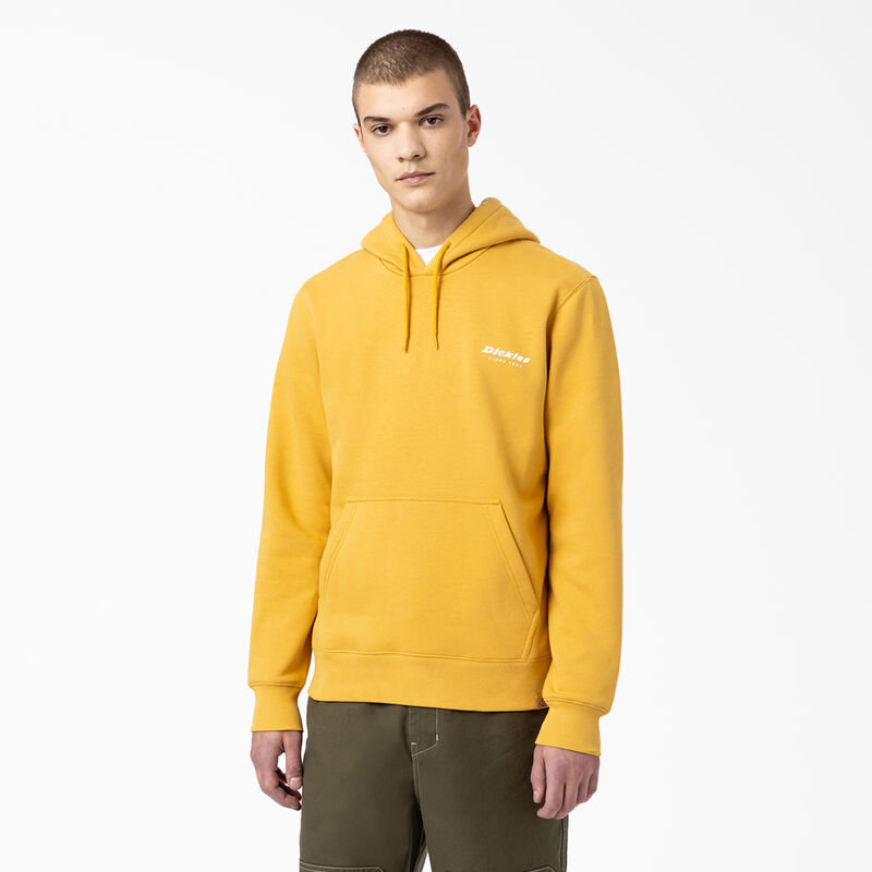 Dickies Camden Box Graphic Hoodie Regular ID-dgfg7YR9