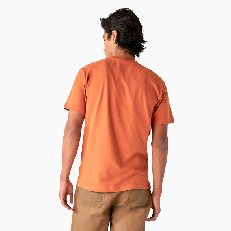 Dickies Summerdale Short Sleeve T-Shirt Bombay Brown ID-f3icgtuA