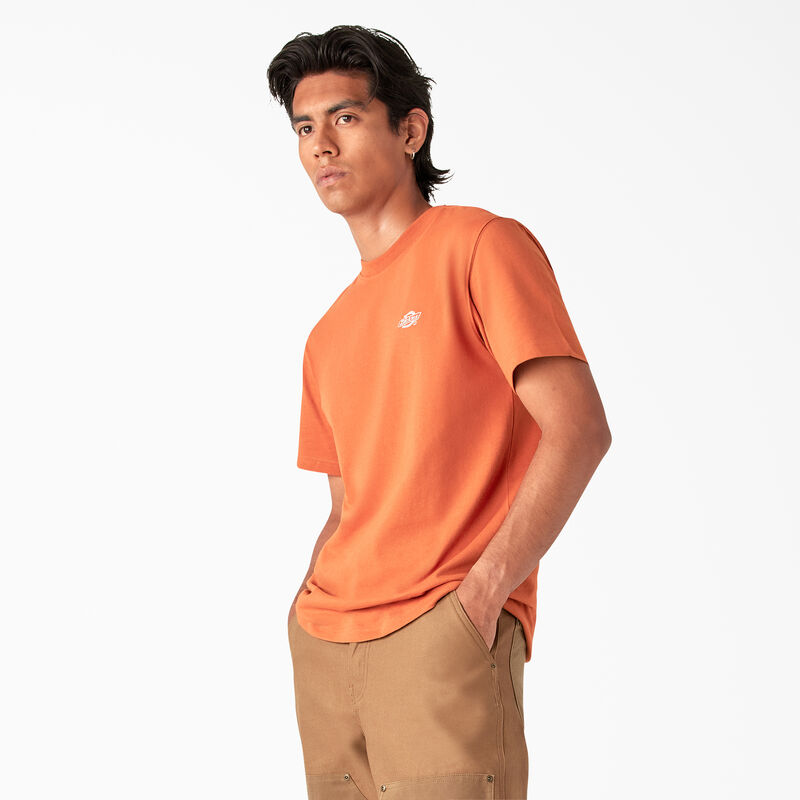 Dickies Summerdale Short Sleeve T-Shirt Bombay Brown ID-f3icgtuA