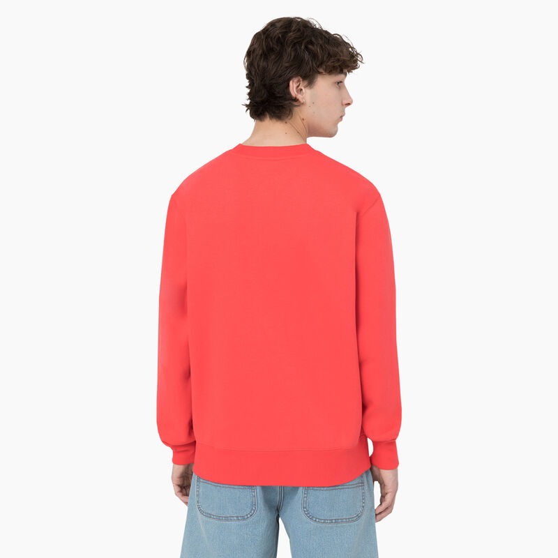 Dickies Summerdale Sweatshirt Scarlet Ibis ID-gwePhOEv