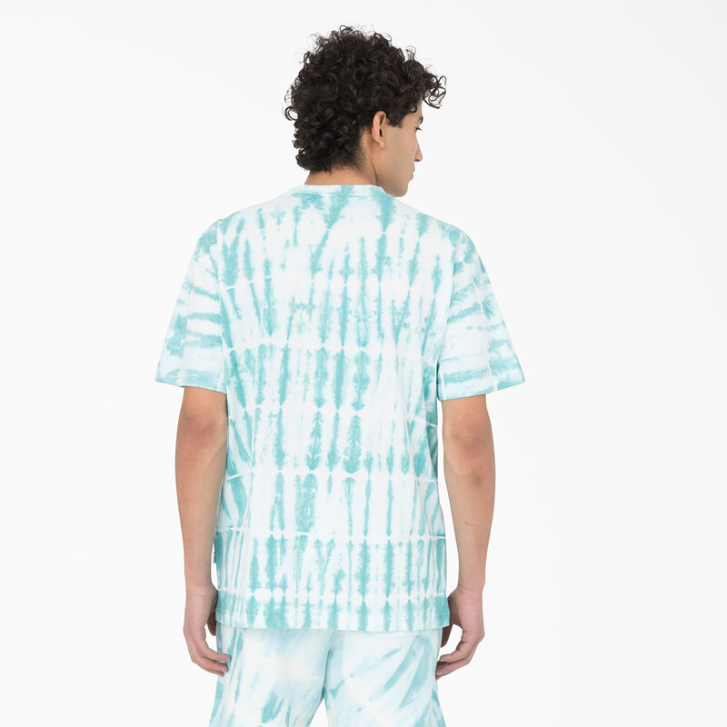 Dickies Westfir Short Sleeve T-Shirt Sky Blue ID-i0SJzanp