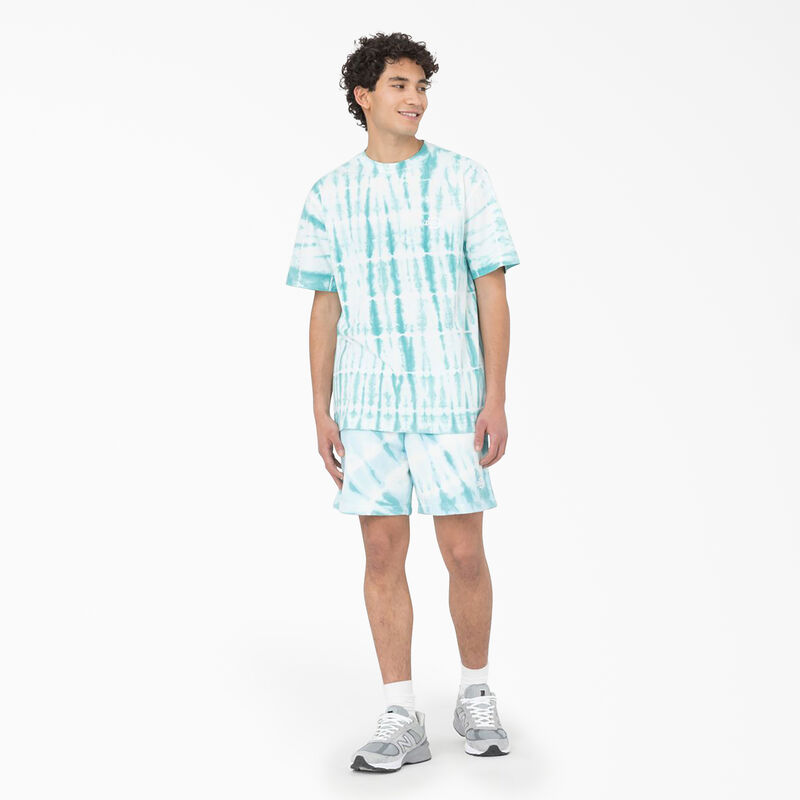 Dickies Westfir Short Sleeve T-Shirt Sky Blue ID-i0SJzanp
