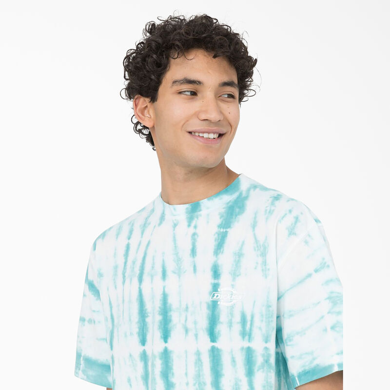 Dickies Westfir Short Sleeve T-Shirt Sky Blue ID-i0SJzanp