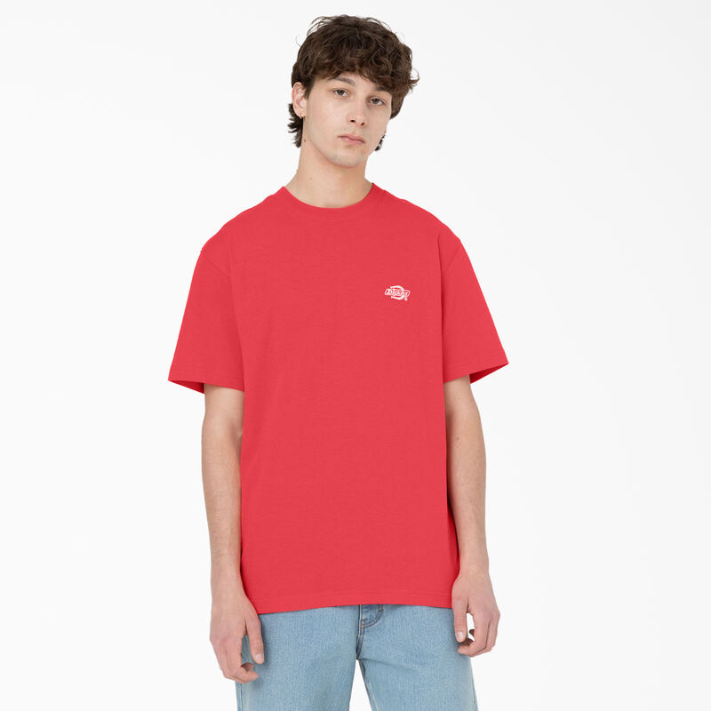 Dickies Summerdale Short Sleeve T-Shirt Bittersweet ID-iUXkeFCz