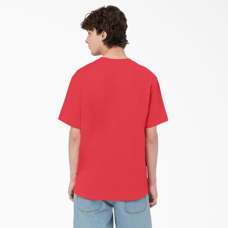 Dickies Summerdale Short Sleeve T-Shirt Bittersweet ID-iUXkeFCz
