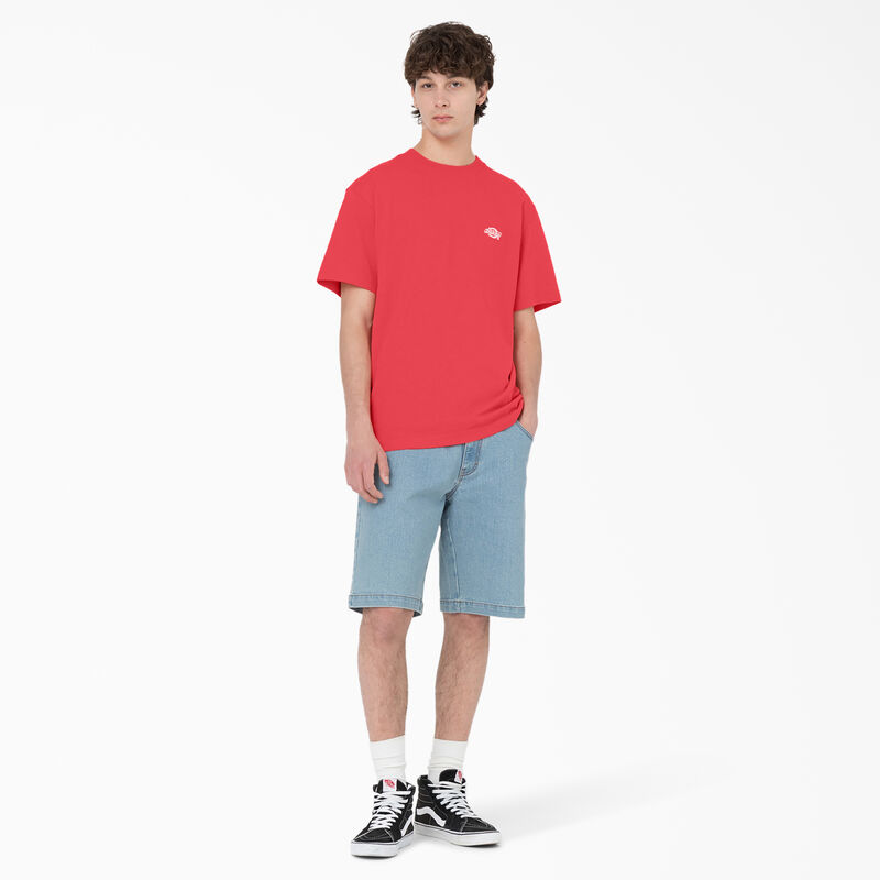 Dickies Summerdale Short Sleeve T-Shirt Bittersweet ID-iUXkeFCz