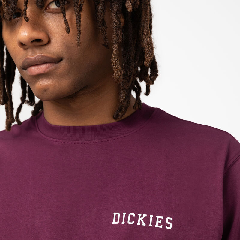 Dickies Cleveland Short Sleeve Graphic T-Shirt Grape Wine ID-ihJ1tuQN