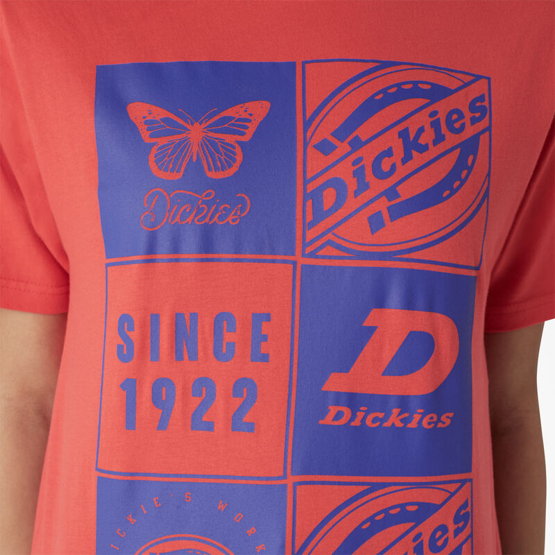 Dickies Graphic Band T-Shirt Bittersweet ID-jF0M6C5w