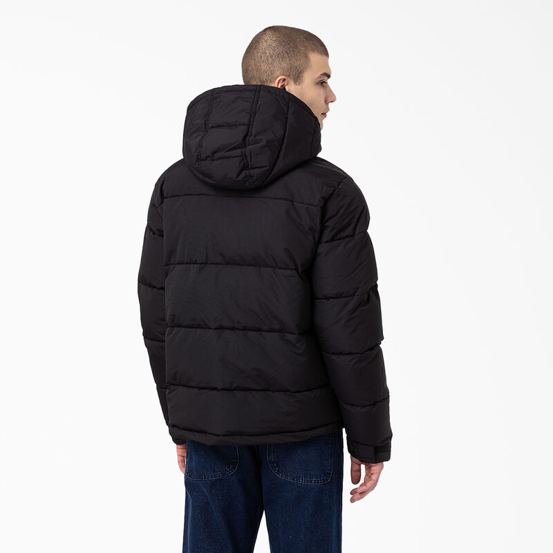 Dickies Glacier View Anorak Puffer Jacket Regular ID-jiILJrWM