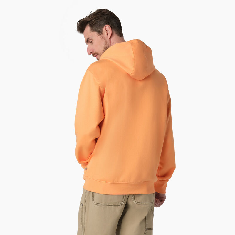 Dickies Fleece Embroidered Chest Logo Hoodie Regular ID-m57OPZDX