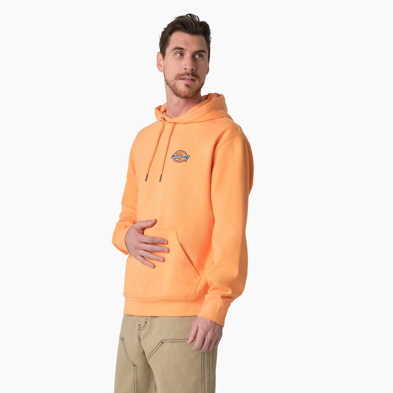 Dickies Fleece Embroidered Chest Logo Hoodie Regular ID-m57OPZDX