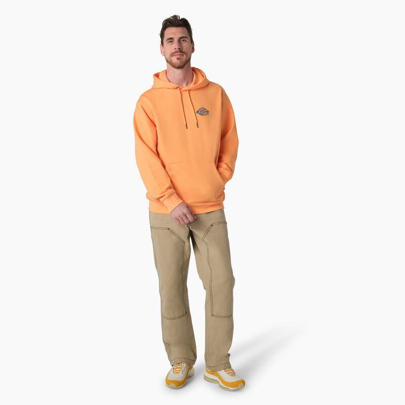 Dickies Fleece Embroidered Chest Logo Hoodie Regular ID-m57OPZDX