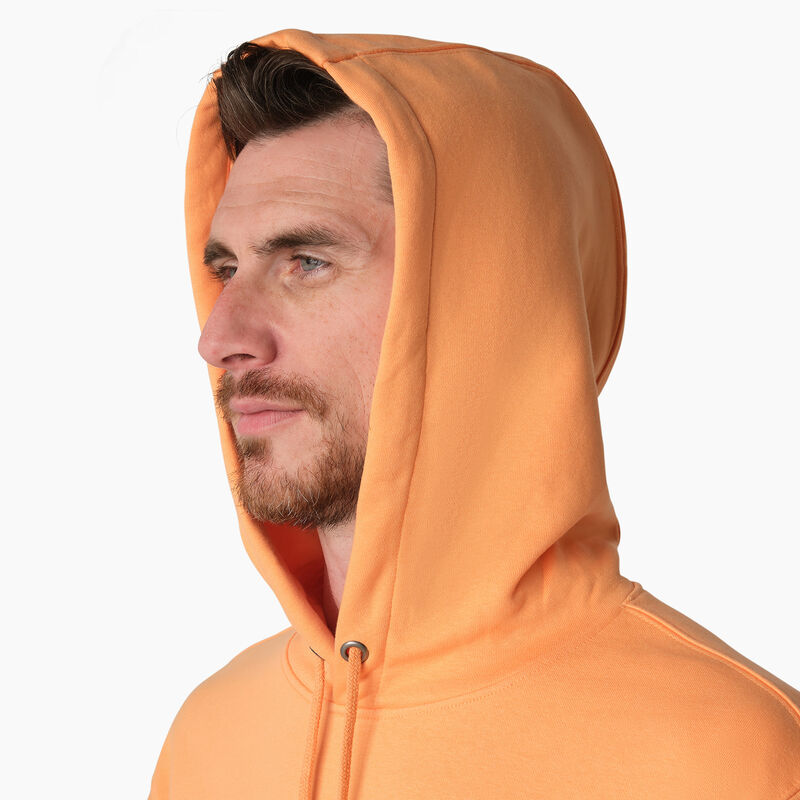 Dickies Fleece Embroidered Chest Logo Hoodie Regular ID-m57OPZDX