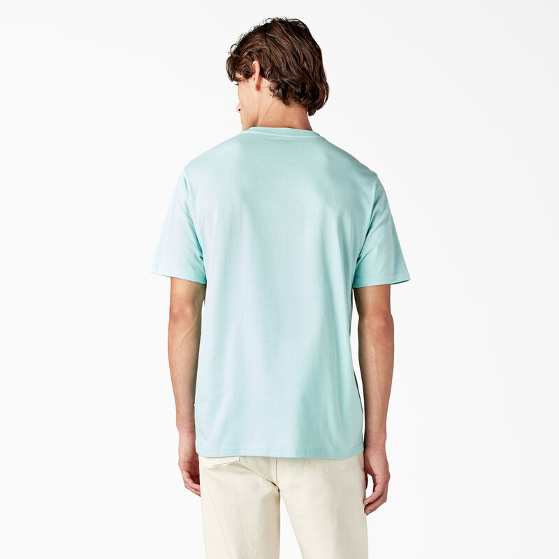 Dickies Mapleton Short Sleeve T-Shirt Pastel Turquoise ID-mKkSWVLo