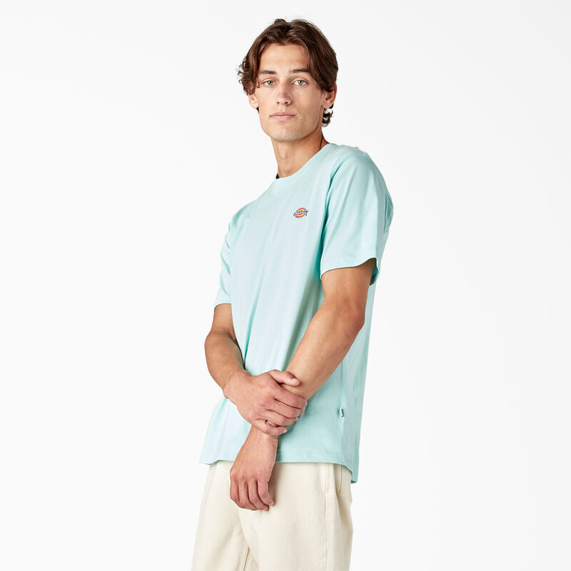 Dickies Mapleton Short Sleeve T-Shirt Pastel Turquoise ID-mKkSWVLo