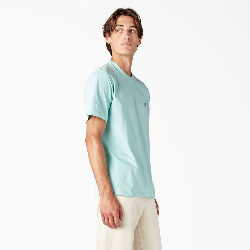 Dickies Mapleton Short Sleeve T-Shirt Pastel Turquoise ID-mKkSWVLo