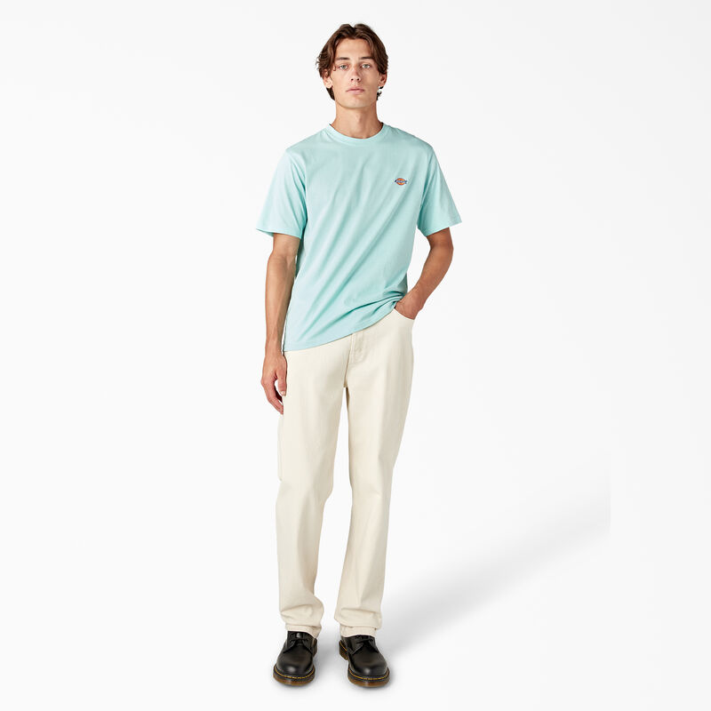 Dickies Mapleton Short Sleeve T-Shirt Pastel Turquoise ID-mKkSWVLo