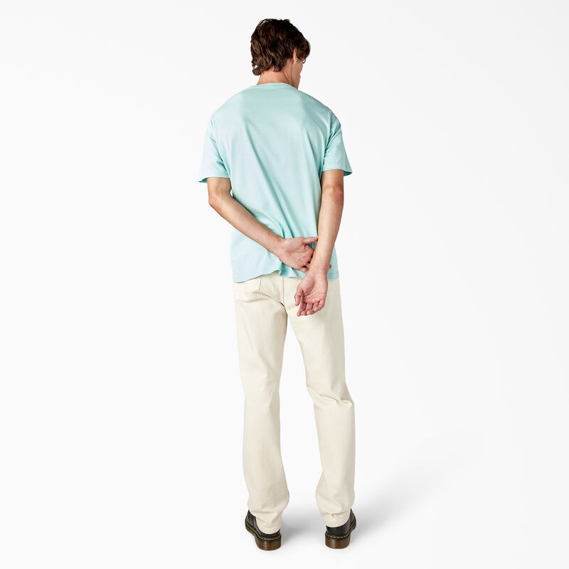 Dickies Mapleton Short Sleeve T-Shirt Pastel Turquoise ID-mKkSWVLo