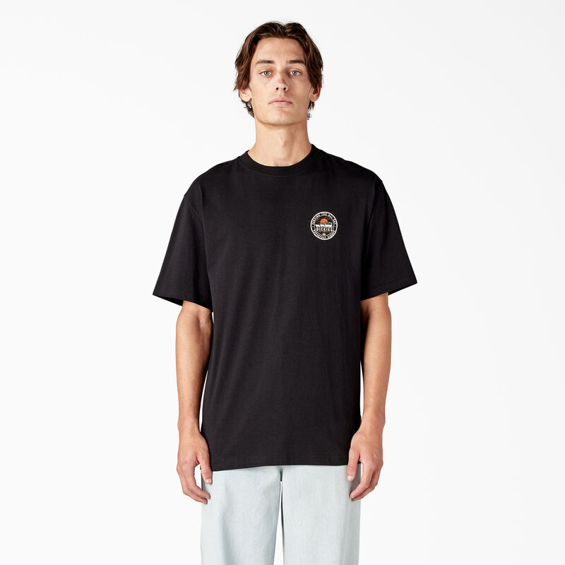 Dickies Greensburg Graphic T-Shirt Black ID-myB992g6