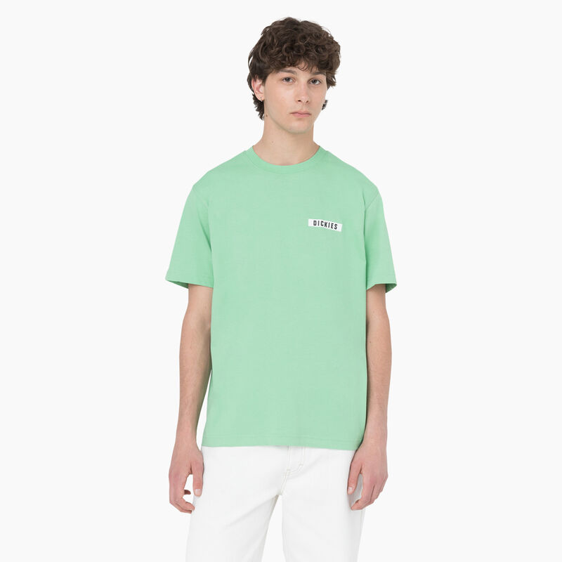 Dickies Baker City Short Sleeve T-Shirt Apple Mint ID-npuCTuRr
