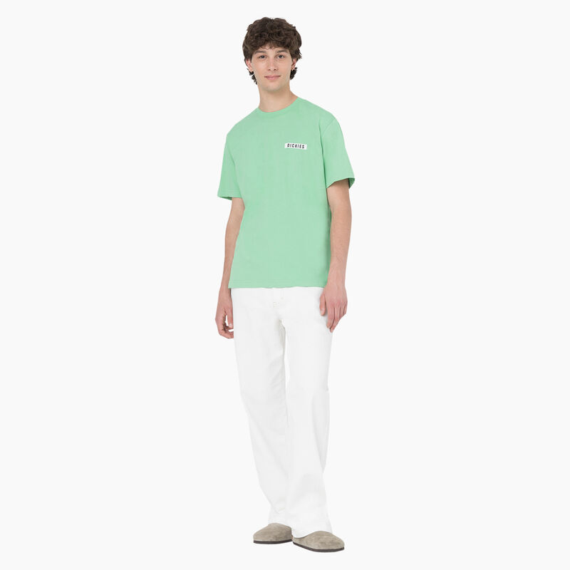 Dickies Baker City Short Sleeve T-Shirt Apple Mint ID-npuCTuRr