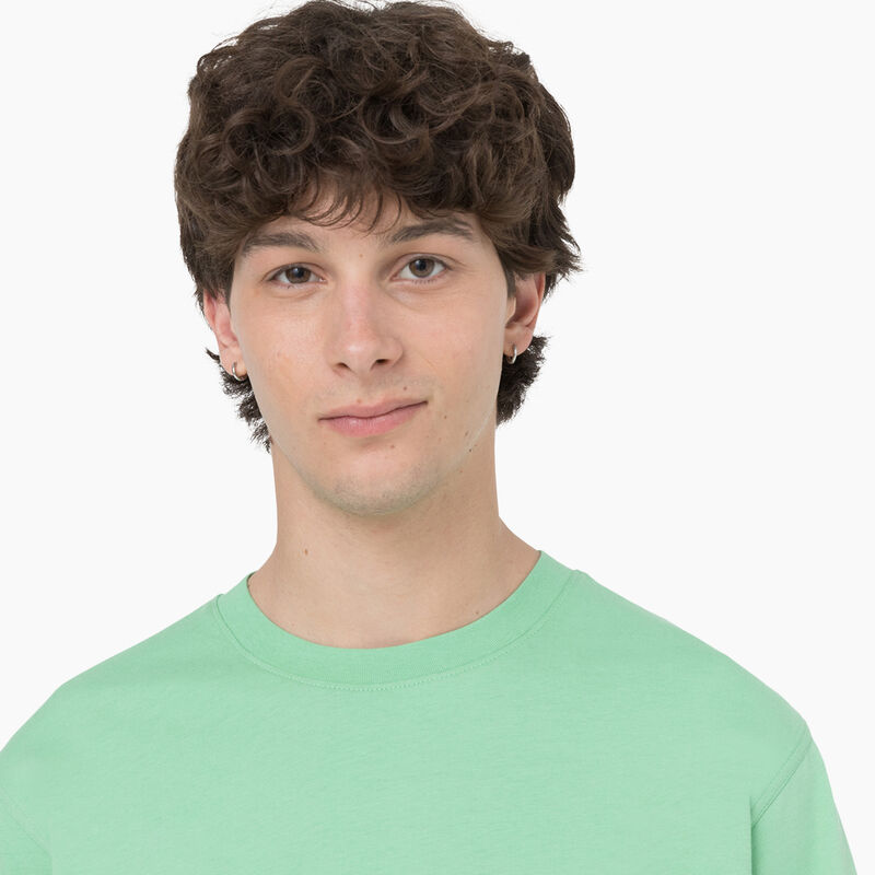 Dickies Baker City Short Sleeve T-Shirt Apple Mint ID-npuCTuRr