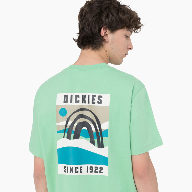 Dickies Baker City Short Sleeve T-Shirt Apple Mint ID-npuCTuRr
