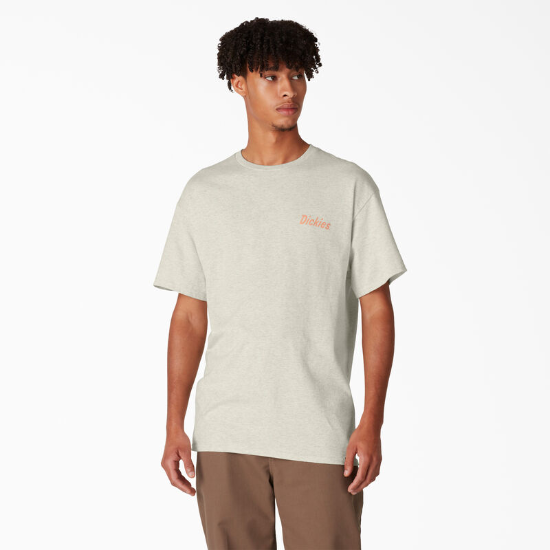 Dickies Skateboarding Split Graphic T-Shirt Oatmeal Heather ID-q1cJ3y6z