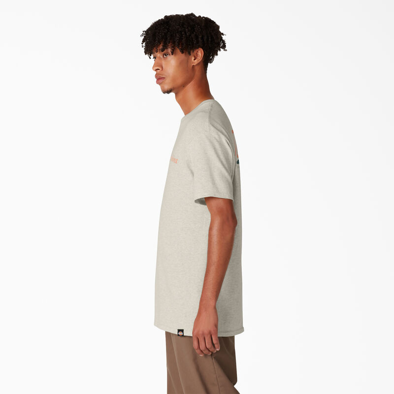 Dickies Skateboarding Split Graphic T-Shirt Oatmeal Heather ID-q1cJ3y6z
