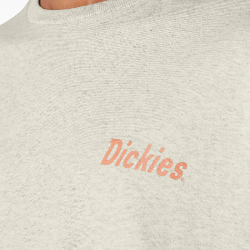Dickies Skateboarding Split Graphic T-Shirt Oatmeal Heather ID-q1cJ3y6z