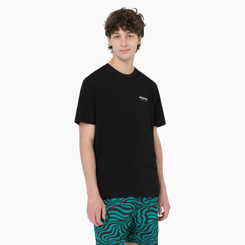 Dickies Leesburg Short Sleeve T-Shirt Black ID-qyFyhJby