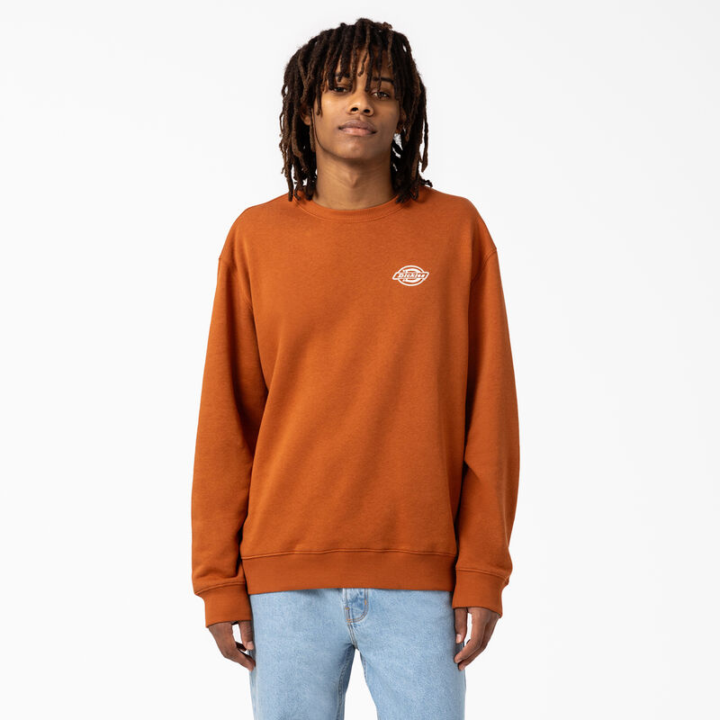 Dickies Holtville Sweatshirt Regular ID-s9Swt3h6
