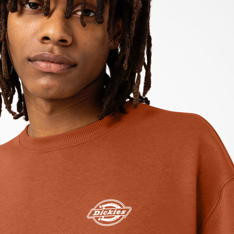 Dickies Holtville Sweatshirt Regular ID-s9Swt3h6