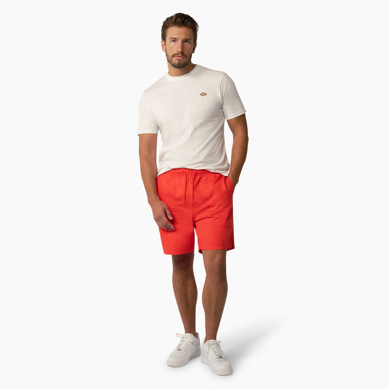 Dickies Mapleton Short Sleeve T-Shirt White ID-szinNSmm