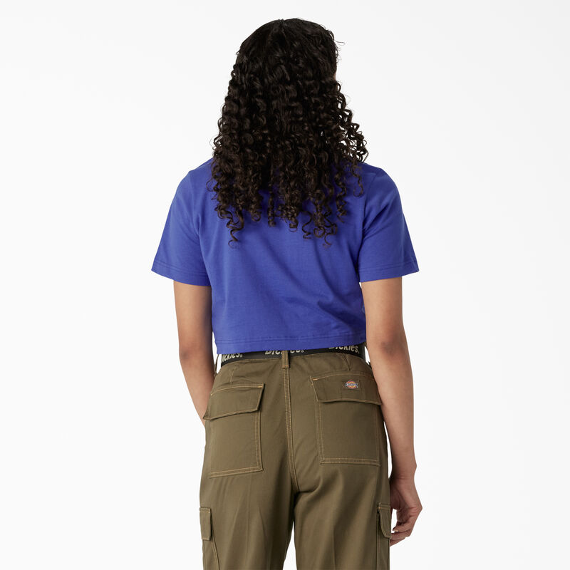 Dickies Desert Graphic Cropped T-Shirt Satin Sky ID-tRF839O5