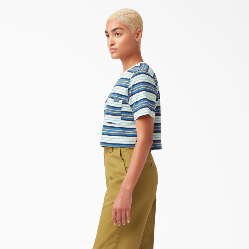 Dickies Striped Cropped Pocket T-Shirt Cobalt Stripe ID-trDK0s3z