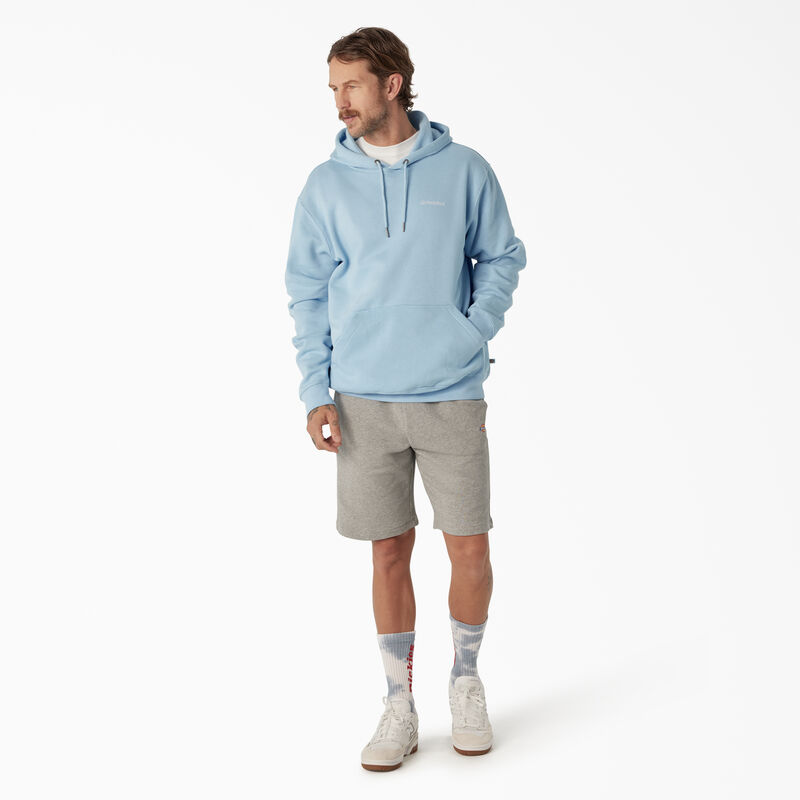 Dickies Uniontown Hoodie Regular ID-vxRnpSRG