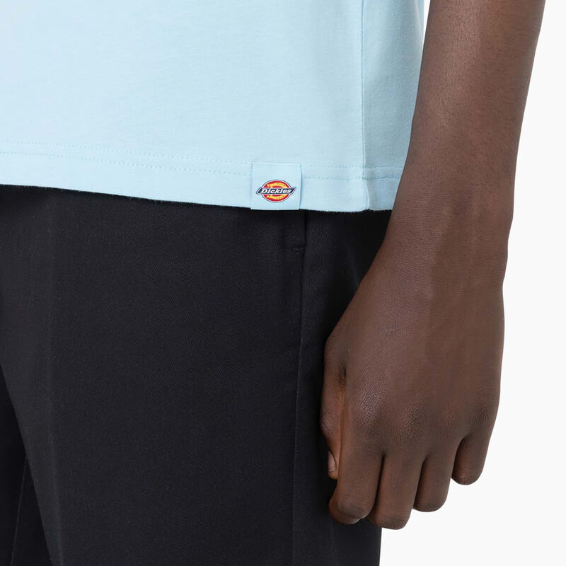 Dickies Bayside Gardens Short Sleeve T-Shirt Sky Blue ID-xRRK8lsy