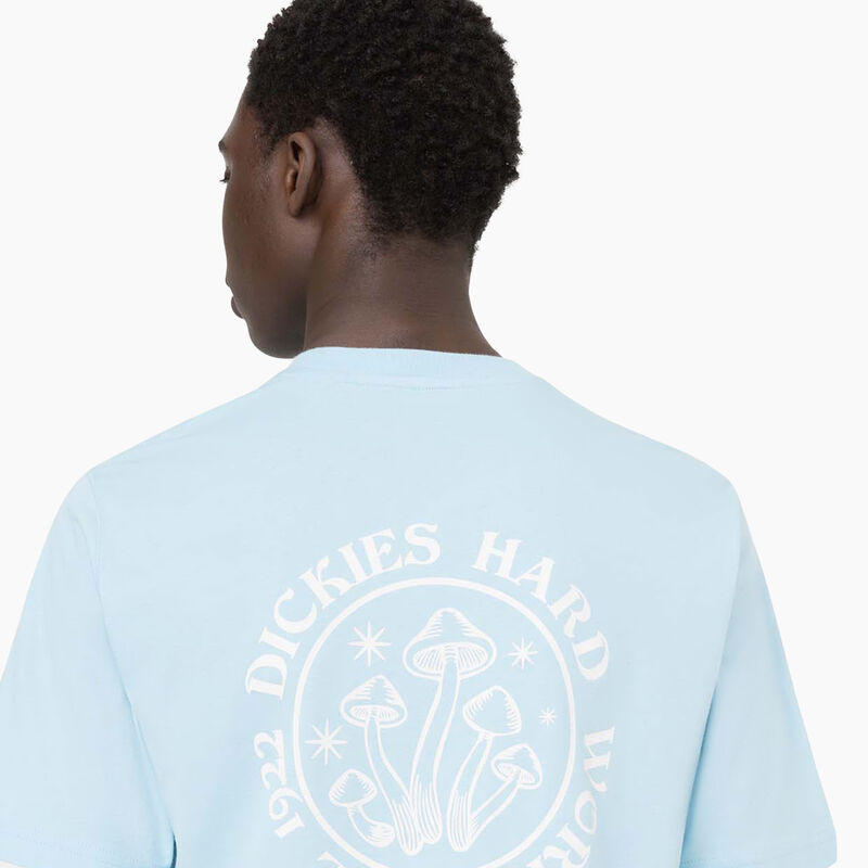 Dickies Bayside Gardens Short Sleeve T-Shirt Sky Blue ID-xRRK8lsy