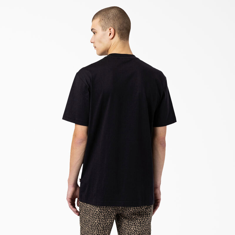 Dickies Skateboarding Mount Vista T-Shirt Black ID-ybHqmNIy