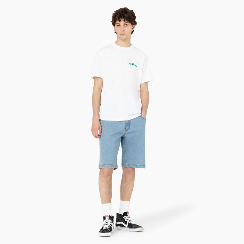 Dickies Skateboarding Loose Fit Wingville Shorts, 11