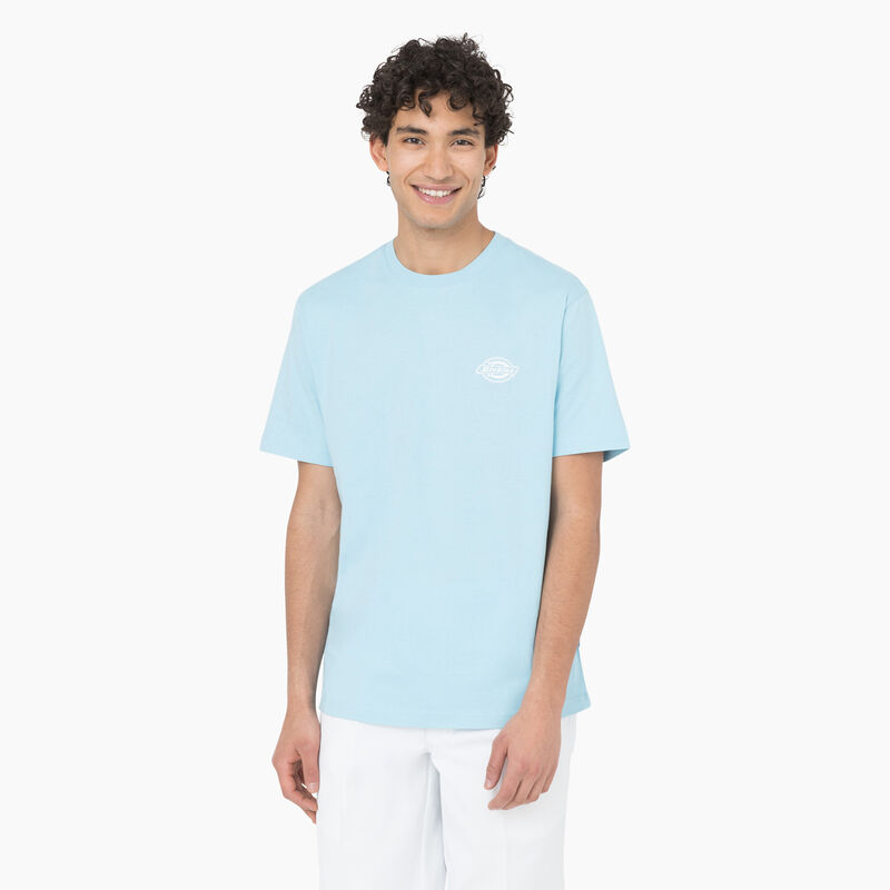 Dickies Back Logo Graphic T-Shirt Sky Blue ID-zcFIgbTX