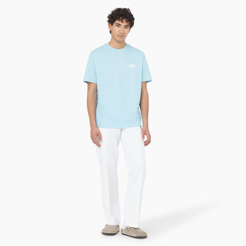 Dickies Back Logo Graphic T-Shirt Sky Blue ID-zcFIgbTX