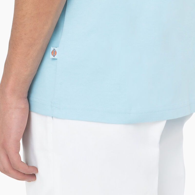 Dickies Back Logo Graphic T-Shirt Sky Blue ID-zcFIgbTX