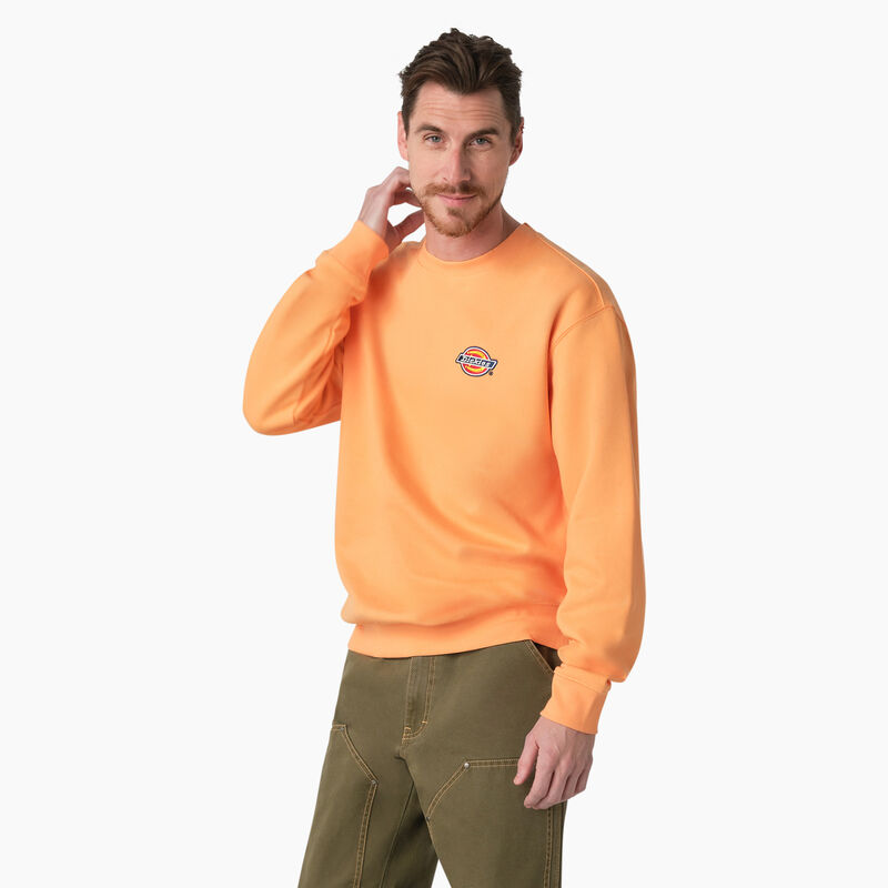 Dickies Fleece Embroidered Chest Logo Sweatshirt Regular ID-zoVL1btu