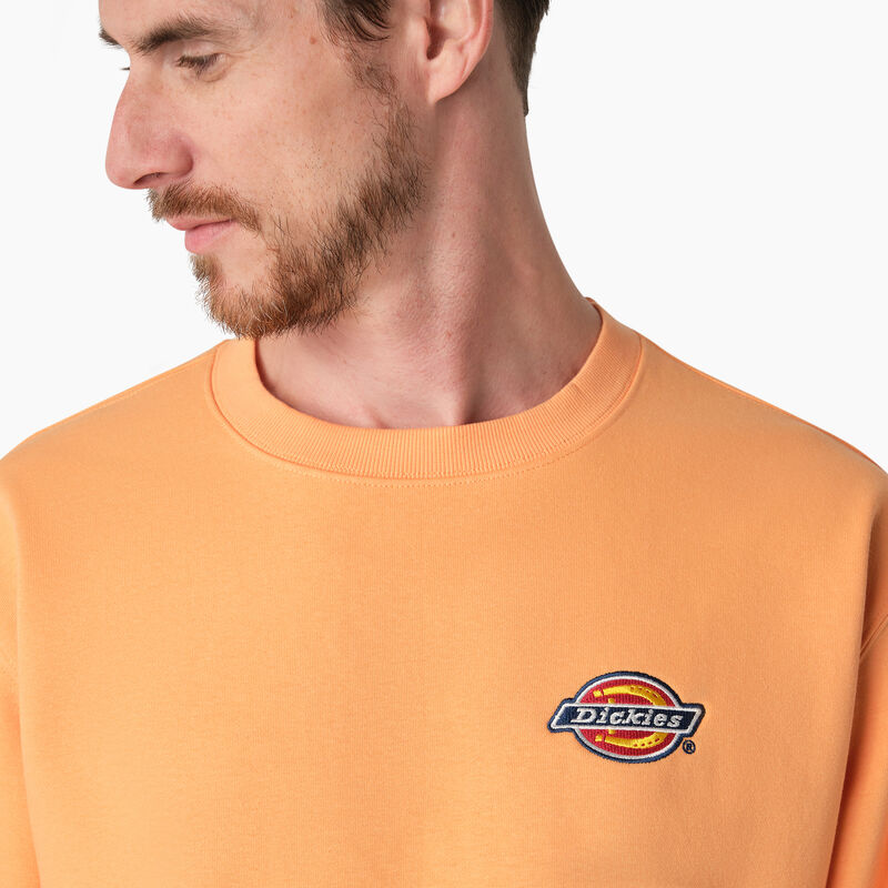 Dickies Fleece Embroidered Chest Logo Sweatshirt Regular ID-zoVL1btu